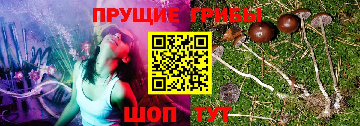 Псилоцибиновые грибы Cubensis  Псилоцибиновые грибы Psilocybe  Вход с VPN  Кольчугино 