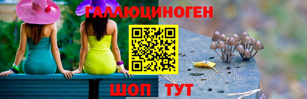 Галлюциногенные грибы Cubensis Кольчугино