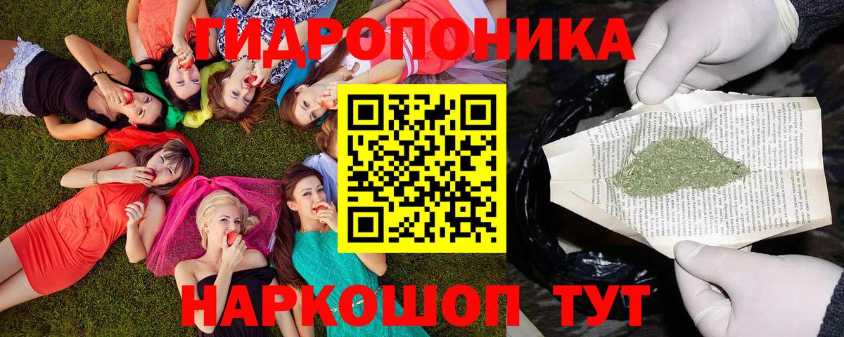 Канабис семена  Бошки Шишки Ganja  Бошки Шишки гибрид  Кольчугино  Вход с VPN 